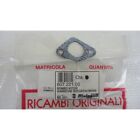 Guarnizione coperchio frizione Clutch cover gasket Malaguti Grizzly 50cc