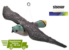 Falco Spaventapasseri Dissuasore per Uccelli Spaventa Piccioni Giardino passeri