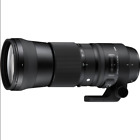 SIGMA Contemporary 150-600mm 5-6.3 x Nikon Bellissimo pari al Nuovo + extra AAA+