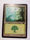 forest guru land mtg NM