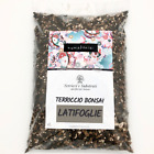 Terriccio pronto specifico per bonsai latifoglie - 1 LT