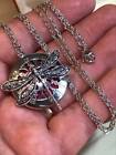 Aromatherapy Pendant Art Nouveau Style Dragonfly Locket & Necklace