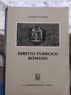 Diritto pubblico romano