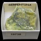 SERPENTINA (Huancayo, Peru) #19738 / Serpentine