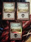 Palude (foil) - Assalto - Swamp - Magic The Gathering