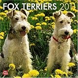 Fox Terriers 2011 Calendar