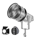 NEEWER CSF10 10" Lente Fresnel, Lente per Raccolta Luce con Attacco Bowens con Angolo del Fascio Variabile 10-35° e Barndoor per Luce Video LED CB300B, CB300C, CB200, CB200B, CB200C,AS600B Fino a 600W