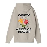 Obey A Piece of Heaven Felpa con cappuccio da uomo, grigio argento, XXL