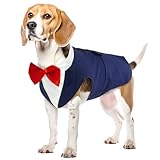 Vestito Cotone per Cani Maglietta Shirt Cani Cappottino Completo Elegante con Papillon Abbigliamento Costume per Cani Feste Halloween Matrimoni Compleanno Natale(Blu, L)