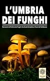 L Umbria dei Funghi: Una guida completa ai tesori del sottobosco