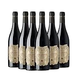 Giordano - BOX AMARONE - Confezione di 6 Bottiglie di Amarone della Valpolicella DOCG Invecchiato Rosso - 6 Bottiglie da 75 cl