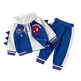 Taenzoess Completino Spideman Bambini Set di Abbigliamento Ragazze Felpa con Cappuccio Camicie e Pantaloni Pullover Maniche Lunghe Tute (Blue, 110)