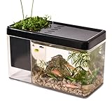 Piccolo acquario per pesci | Piccolo acquario Betta trasparente – Piccolo acquario Betta Fish Tank Mini acquario da tavolo per lumache, granchi, stelle marine