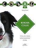 Border Collie: Vita in casa - Educazione - Cure