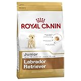 Crocchette cucciolo Labrador Retriever Junior 12KG Royal Canin