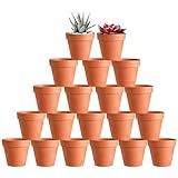 YANGUN 20 Pezzi 5cm Vasetti terracotta piccoli, Vasi in Terracotta, Vasi per Piante, Piante Vaso in Terracotta, Mini Cactus Piante Grasse Succulento Miniatura Ceramica Vasi,per Interni da Esterno