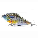 HUFFA 100 MM 45G Slow Sinking Jerkbait Fishing Lure Slider Swim Action Hard Body Jerk Bait for Pike Musky Fishing (Color : g)