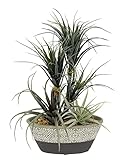 Pianta artificiale Dracena/Tillandsia in vaso, fiore artificiale falso, pianta verde, pianta artificiale, erba artificiale, cactus, pianta d appartamento, piante grasse aloe vera agave Yucca