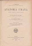 Anatomia umana. VII. Organi dei sensi.