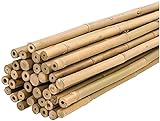 PLANTAWA Canne di Bambù 90 cm 25 Pezzi Ø 10-12 mm | Supporto per Piante, Ortaggi, Pomodori e Piante di Pomodoro | Supporti per Piante Facili da Installare - Robuste Canne di Bambù per Orto