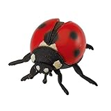 Coccinella Collecta cod. 88474