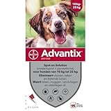 Advantix Cane Medio, 10-25 kg, 6 pipette