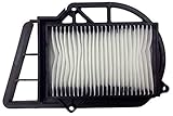 CHAMPION Filtro aria Champion CAF3203 Yamaha X-max 250cc (Filtri Aria) / X-max 250 CAF3203 air filter (Air Filters)