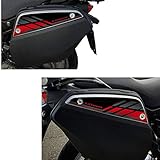 Resin Bike Adesivi Moto Compatibile con Suzuki V-Strom 650 1000 e 1050 2017-2021 Nero Rosso. Protezioni Borse Laterali 26 e 29 Lt da Urti e Graffi. Coppia Adesivi 3D Resinati