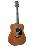 Takamine Chitarra acustica Dreadnought