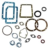 Generico Serie Guarnizione Completa e Paraoli Compatibile Motore Lombardini 6ld 360 per Motozappa - Motocoltivatore