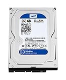 WD Blue 250 GB Everyday PC desktop hard drive: 8,9 cm, SATA 6 Gb/s, 7200 rpm, 16 MB Cache (WD2500AAKX) (Old Model) (Refurbished)