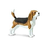 Safari- Cane Beagle, 254929