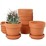 Oairse 6 mini vasi in terracotta 10 x 10 cm con sottovaso e foro di scarico, vaso da fiori con vassoio, vaso in terracotta per piante da interno all aperto, regalo di nozze