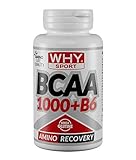 Why Sport BCAA 1000+B6 105 Grams 100 Compresse