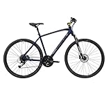 Lombardo Fitness Bike 28" Amantea 200 U NightBlue/GreyMatt (51)