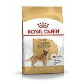 Royal Canin Golden Retriever Adult 12 kg