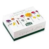 Helan - Discovery Kit Profumi con 28 Fiale Campioncini da 1,5ml, Kit Profumo Uomo e Donna in Fragranze da Scoprire, Set Percorso Olfattivo per Idee Regalo Donna e Uomo Made in Italy