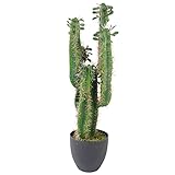 Leaf LEAF-7281 - Cactus artificiale con vaso, 75 cm