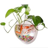 Acquario Sospeso a Parete, Contenitore Decorativo per Acquario Montato a Parete in Acrilico per Ufficio Domestico (15 cm)