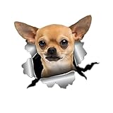 Adesivo per auto, 22 cm, motivo Chihuahua, divertente 3D, con strappo, riflettente, per auto, marrone, Chihuahua, per animali domestici, impermeabile, divertente per paraurti