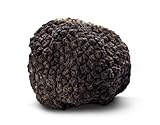 Tartufo Nero Uncinato