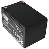 FIAMM FG21202 Batteria 12 Ah