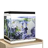 AquaOne Set completo per acquario, LED con pompa HNE-300, piccolo nano acquario, 13 litri, con impianto di filtro, mini mini mini bacino nano per pesci e gamberetti