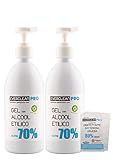 Gel igienizzante mani oltre il 70% di alcool + Aloe Vera ml 500 x 2 pz con dispenser + 10 salviette disinfettanti presidio medico chirurgico EVERCLEAN PRO