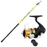 agc Kit Bolognese Canna Globe Fishing Tornado 3m + Mulinello Shimano FX 2500