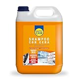 Happy Car - Shampoo e Cera Auto 5l - Lucidante e Protettivo per la Carrozzeria - Concentrato - Asciugatura Rapida - Profumato di Agrumi