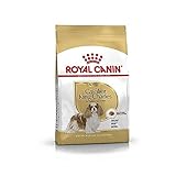 Royal Canin - R.C.Cavalier King kg. 7,5