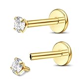 ADRAMATA 2Pcs G23 Titanio Piercing Labbro Filettato Internamente Piercing Medusa Monroe Labret Piercing Piccolo Piercing Naso Brillantino Piercing Orecchio Oro Argento Piercing Helix Piercing Trago