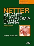 Netter. Atlante anatomia umana. Scienze motorie e fisioterapia