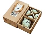 Set da tè in ceramica Kong Fu Tea Set teiera con 2 tazze in stile giapponese stile cinese piccola tazza di tè arte per casa per ufficio verde chiaro amici famiglia affari regalo souvenir